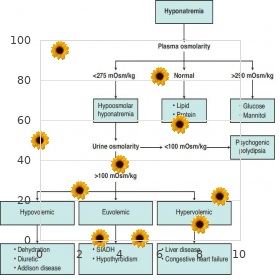 Lissencephaly syndrome type 2