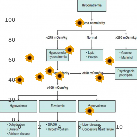 Wolff Parkinson White syndrome
