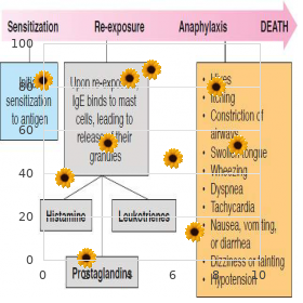 Familial non-immune hyperthyroidism