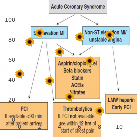 Cholesterol pneumonia